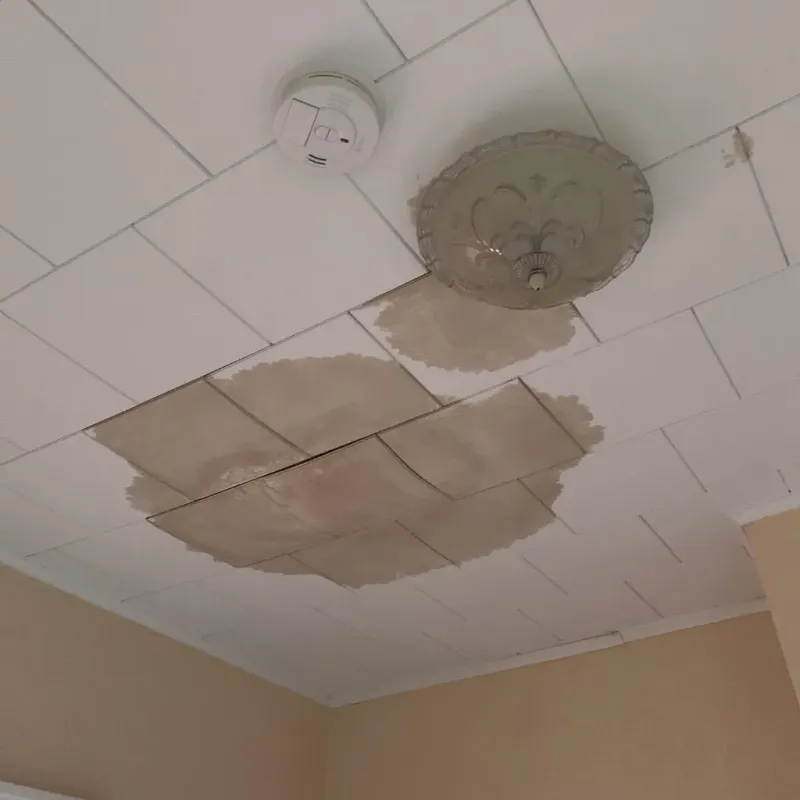 Ceiling Water Damage Repair in Grimes County, TX