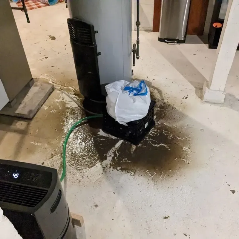 Sewage Backup Cleanup Service in Grimes County, TX